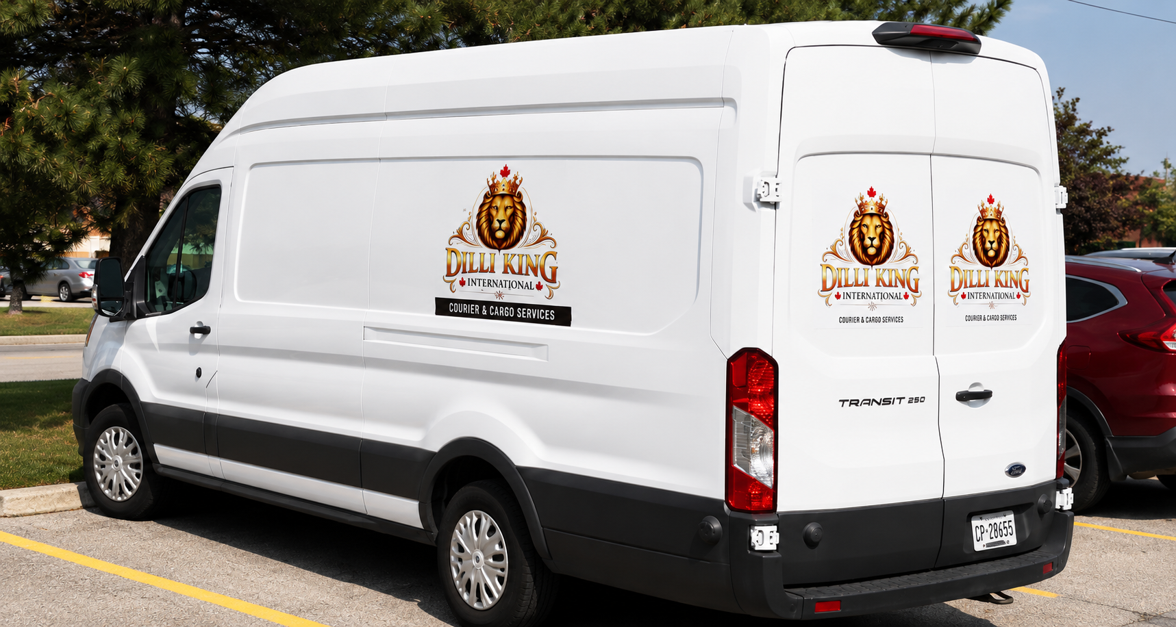Dilli King homepage banner